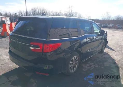 2024 Honda Odyssey Ex-L z USA, uszkodzony, nr VIN 5FNRL6H68RB018609